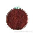 Organic Salvia Miltiorrhiza Extract 10% Tanshinone IIA